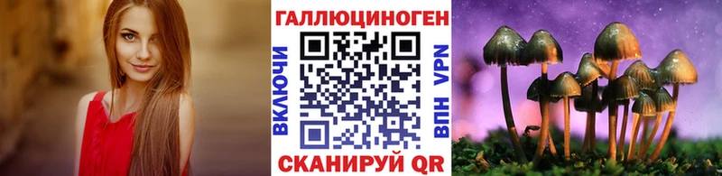 Купить закладки  Афипский  Псилоцибиновые грибы прущие грибы 