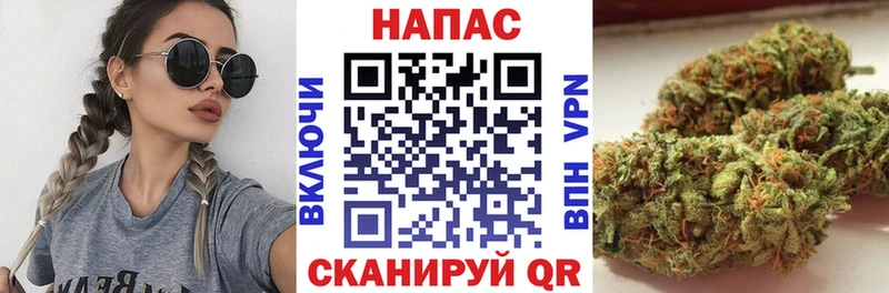 Бошки Шишки семена  Купить где  Афипский 